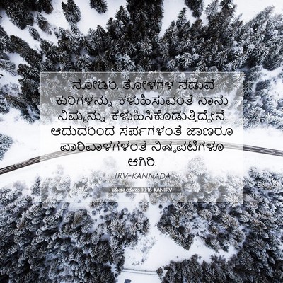 Picture 07 - ಮತ್ತಾಯನು 10:16 KANIRV - “ನೋಡಿರಿ, ತೋಳಗಳ - Bible Verse Picture