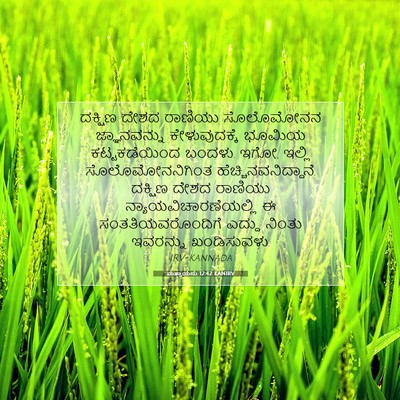 Picture 07 - ಮತ್ತಾಯನು 12:42 KANIRV - ದಕ್ಷಿಣ ದೇಶದ - Bible Verse Picture