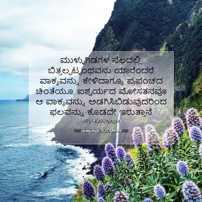 Picture 07 - ಮತ್ತಾಯನು 13:22 KANIRV - ಮುಳ್ಳುಗಿಡಗಳ - Bible Verse Picture