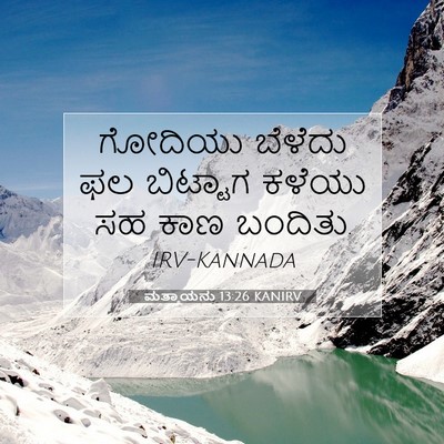 Picture 07 - ಮತ್ತಾಯನು 13:26 KANIRV - ಗೋದಿಯು ಬೆಳೆದು ಫಲ - Bible Verse Picture