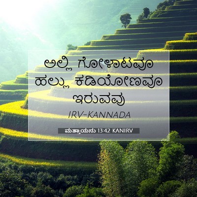 Picture 07 - ಮತ್ತಾಯನು 13:42 KANIRV - ಅಲ್ಲಿ ಗೋಳಾಟವೂ - Bible Verse Picture