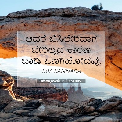 Picture 07 - ಮತ್ತಾಯನು 13:6 KANIRV - ಆದರೆ ಬಿಸಿಲೇರಿದಾಗ - Bible Verse Picture