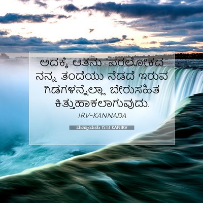 Picture 07 - ಮತ್ತಾಯನು 15:13 KANIRV - ಅದಕ್ಕೆ ಆತನು - Bible Verse Picture