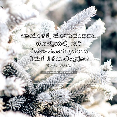 Picture 07 - ಮತ್ತಾಯನು 15:17 KANIRV - ಬಾಯೊಳಕ್ಕೆ - Bible Verse Picture