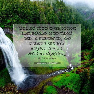 Picture 07 - ಮತ್ತಾಯನು 24:32 KANIRV - “ಅಂಜೂರ ಮರದ - Bible Verse Picture