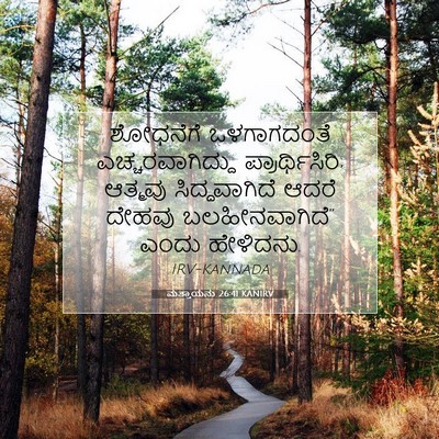Picture 07 - ಮತ್ತಾಯನು 26:41 KANIRV - ಶೋಧನೆಗೆ ಒಳಗಾಗದಂತೆ - Bible Verse Picture