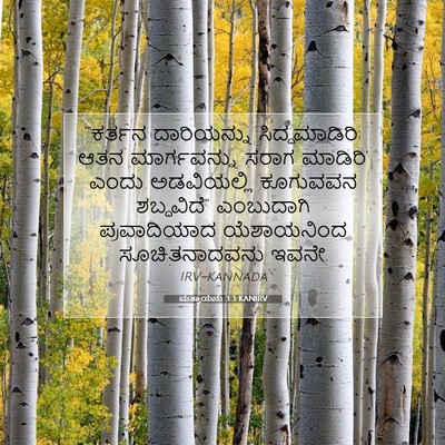 Picture 07 - ಮತ್ತಾಯನು 3:3 KANIRV - “‘ಕರ್ತನ ದಾರಿಯನ್ನು - Bible Verse Picture