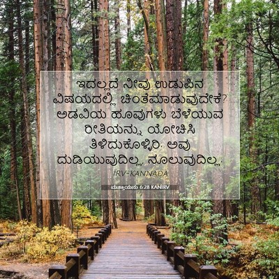 Picture 07 - ಮತ್ತಾಯನು 6:28 KANIRV - ಇದಲ್ಲದೆ ನೀವು - Bible Verse Picture