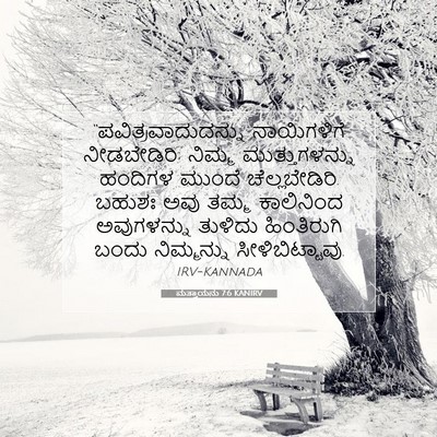 Picture 07 - ಮತ್ತಾಯನು 7:6 KANIRV - “ಪವಿತ್ರವಾದುದನ್ನು - Bible Verse Picture