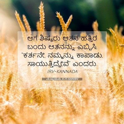 Picture 07 - ಮತ್ತಾಯನು 8:25 KANIRV - ಆಗ ಶಿಷ್ಯರು ಆತನ - Bible Verse Picture