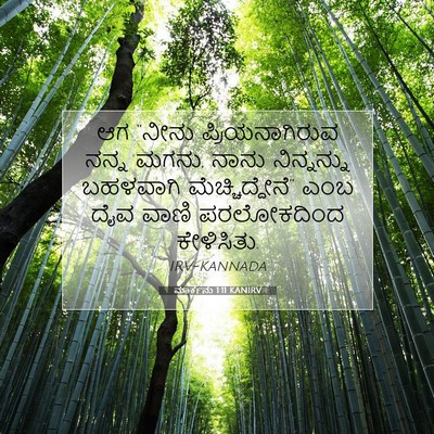 Picture 07 - ಮಾರ್ಕನು 1:11 KANIRV - ಆಗ “ನೀನು - Bible Verse Picture