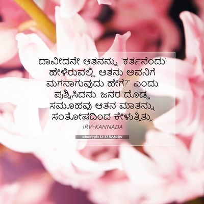Picture 07 - ಮಾರ್ಕನು 12:37 KANIRV - ದಾವೀದನೇ ಆತನನ್ನು - Bible Verse Picture