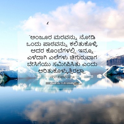Picture 07 - ಮಾರ್ಕನು 13:28 KANIRV - “ಅಂಜೂರ ಮರವನ್ನು - Bible Verse Picture