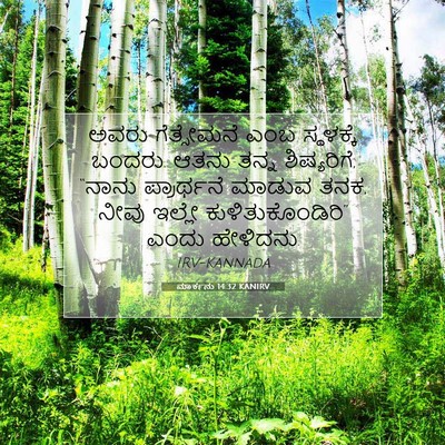 Picture 07 - ಮಾರ್ಕನು 14:32 KANIRV - ಅವರು ಗೆತ್ಸೇಮನೆ - Bible Verse Picture