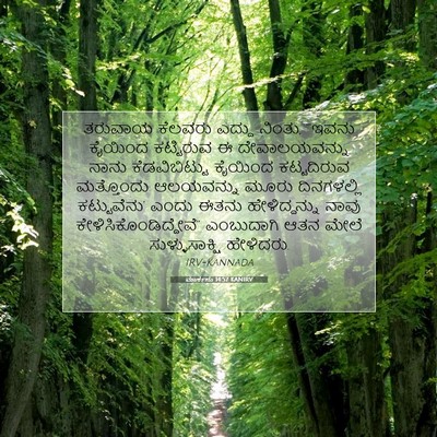 Picture 07 - ಮಾರ್ಕನು 14:57 KANIRV - ತರುವಾಯ ಕೆಲವರು - Bible Verse Picture