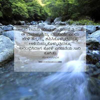 Picture 07 - ಮಾರ್ಕನು 14:71 KANIRV - ಆದರೆ ಅವನು, “ನೀವು - Bible Verse Picture