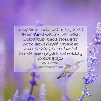 Picture 07 - ಮಾರ್ಕನು 15:32 KANIRV - ಇಸ್ರಾಯೇಲರ ಅರಸನಾದ - Bible Verse Picture
