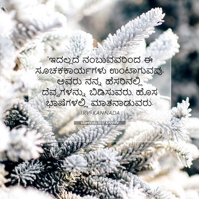 Picture 07 - ಮಾರ್ಕನು 16:17 KANIRV - “ಇದಲ್ಲದೆ - Bible Verse Picture
