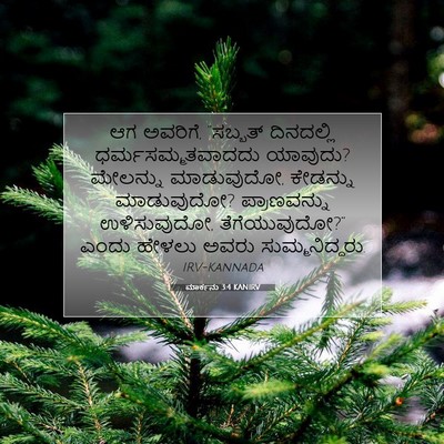 Picture 07 - ಮಾರ್ಕನು 3:4 KANIRV - ಆಗ ಅವರಿಗೆ, “ಸಬ್ಬತ್ - Bible Verse Picture