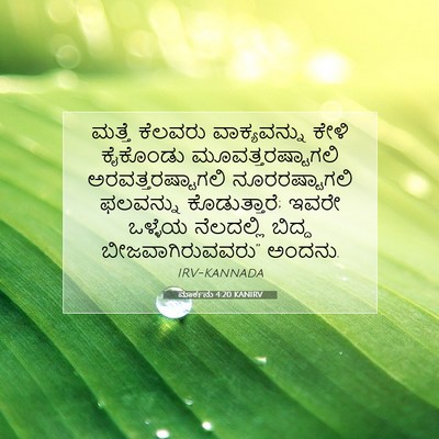 Picture 07 - ಮಾರ್ಕನು 4:20 KANIRV - ಮತ್ತೆ ಕೆಲವರು - Bible Verse Picture