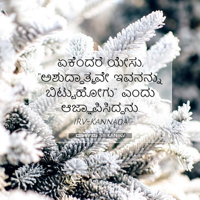 Picture 07 - ಮಾರ್ಕನು 5:8 KANIRV - ಏಕೆಂದರೆ ಯೇಸು, - Bible Verse Picture