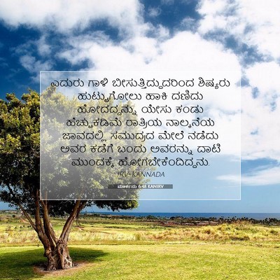 Picture 07 - ಮಾರ್ಕನು 6:48 KANIRV - ಎದುರು ಗಾಳಿ - Bible Verse Picture