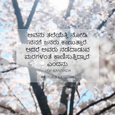 Picture 07 - ಮಾರ್ಕನು 8:24 KANIRV - ಅವನು ತಲೆಯೆತ್ತಿ - Bible Verse Picture
