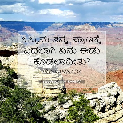Picture 07 - ಮಾರ್ಕನು 8:37 KANIRV - ಒಬ್ಬನು ತನ್ನ - Bible Verse Picture