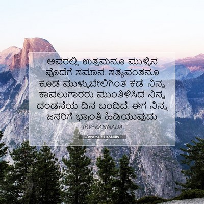 Picture 07 - ಮೀಕನು 7:4 KANIRV - ಅವರಲ್ಲಿ ಉತ್ತಮನೂ - Bible Verse Picture