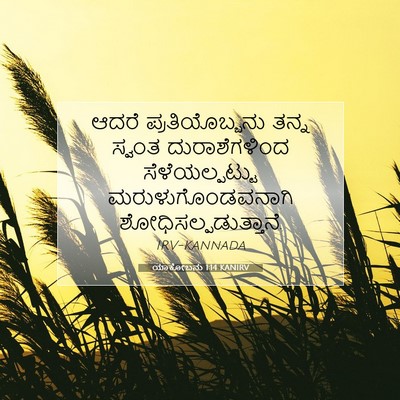 Picture 07 - ಯಾಕೋಬನು 1:14 KANIRV - ಆದರೆ ಪ್ರತಿಯೊಬ್ಬನು - Bible Verse Picture