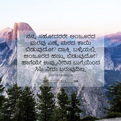Picture 07 - ಯಾಕೋಬನು 3:12 KANIRV - ನನ್ನ ಸಹೋದರರೇ, - Bible Verse Picture