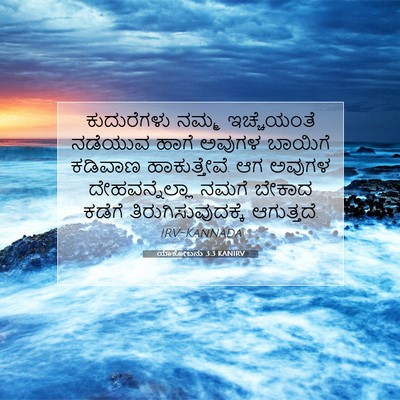 Picture 07 - ಯಾಕೋಬನು 3:3 KANIRV - ಕುದುರೆಗಳು ನಮ್ಮ - Bible Verse Picture