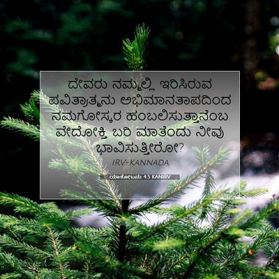 Picture 07 - ಯಾಕೋಬನು 4:5 KANIRV - ದೇವರು ನಮ್ಮಲ್ಲಿ - Bible Verse Picture