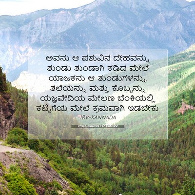 Picture 07 - ಯಾಜಕಕಾಂಡ 1:12 KANIRV - ಅವನು ಆ ಪಶುವಿನ - Bible Verse Picture