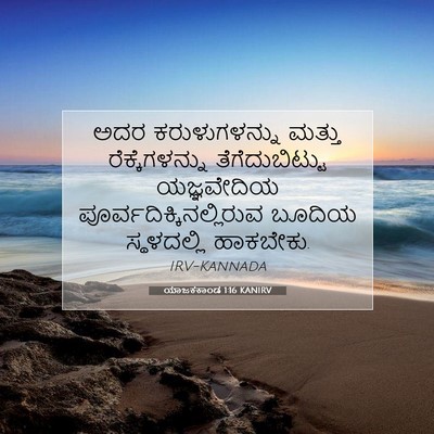 Picture 07 - ಯಾಜಕಕಾಂಡ 1:16 KANIRV - ಅದರ ಕರುಳುಗಳನ್ನು - Bible Verse Picture