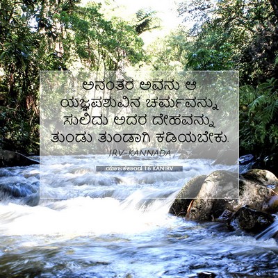 Picture 07 - ಯಾಜಕಕಾಂಡ 1:6 KANIRV - ಅನಂತರ ಅವನು ಆ - Bible Verse Picture