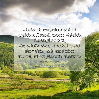 Picture 07 - ಯಾಜಕಕಾಂಡ 10:5 KANIRV - ಮೋಶೆಯ ಅಪ್ಪಣೆಯ - Bible Verse Picture