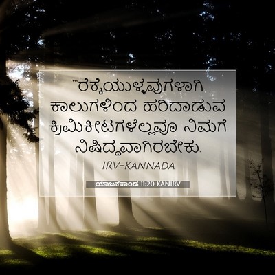 Picture 07 - ಯಾಜಕಕಾಂಡ 11:20 KANIRV -  - Bible Verse Picture