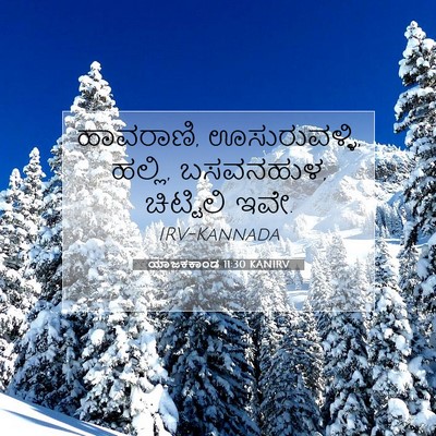 Picture 07 - ಯಾಜಕಕಾಂಡ 11:30 KANIRV - ಹಾವರಾಣಿ, - Bible Verse Picture