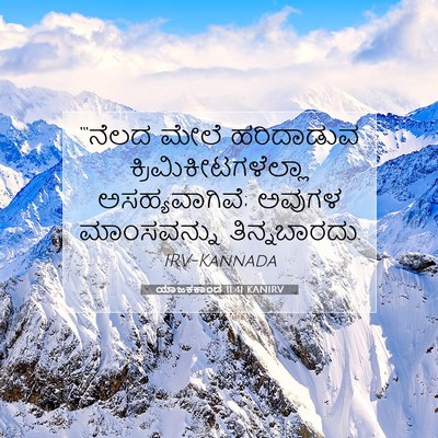 Picture 07 - ಯಾಜಕಕಾಂಡ 11:41 KANIRV - “‘ನೆಲದ ಮೇಲೆ - Bible Verse Picture