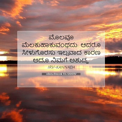 Picture 07 - ಯಾಜಕಕಾಂಡ 11:6 KANIRV - ಮೊಲವೂ - Bible Verse Picture