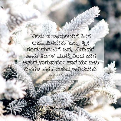 Picture 07 - ಯಾಜಕಕಾಂಡ 12:2 KANIRV - “ನೀನು - Bible Verse Picture