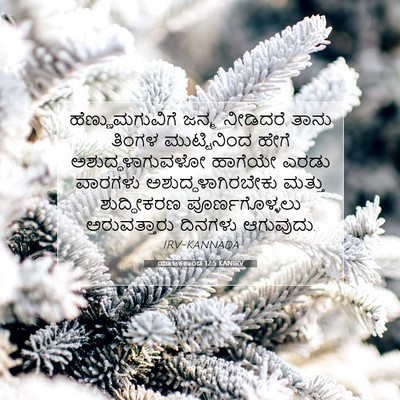 Picture 07 - ಯಾಜಕಕಾಂಡ 12:5 KANIRV - ಹೆಣ್ಣುಮಗುವಿಗೆ - Bible Verse Picture
