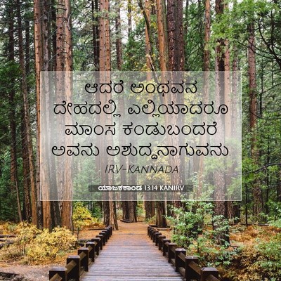 Picture 07 - ಯಾಜಕಕಾಂಡ 13:14 KANIRV - ಆದರೆ ಅಂಥವನ - Bible Verse Picture