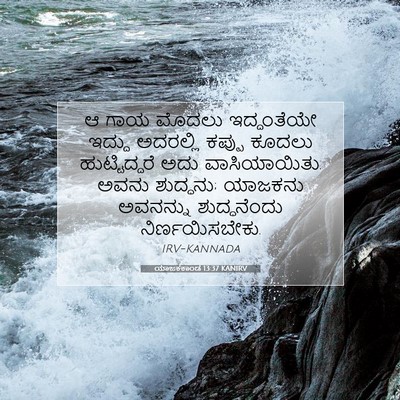 Picture 07 - ಯಾಜಕಕಾಂಡ 13:37 KANIRV - ಆ ಗಾಯ ಮೊದಲು - Bible Verse Picture