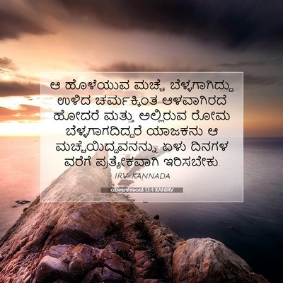 Picture 07 - ಯಾಜಕಕಾಂಡ 13:4 KANIRV - ಆ ಹೊಳೆಯುವ ಮಚ್ಚೆ - Bible Verse Picture