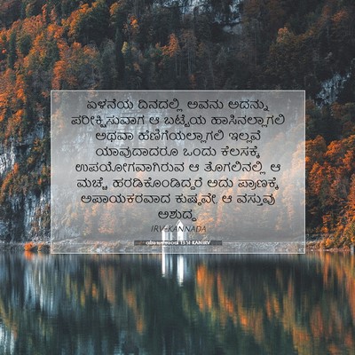 Picture 07 - ಯಾಜಕಕಾಂಡ 13:51 KANIRV - ಏಳನೆಯ ದಿನದಲ್ಲಿ - Bible Verse Picture