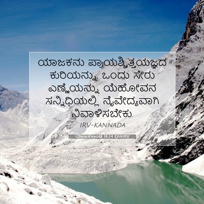 Picture 07 - ಯಾಜಕಕಾಂಡ 14:24 KANIRV - ಯಾಜಕನು - Bible Verse Picture