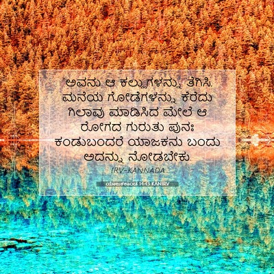 Picture 07 - ಯಾಜಕಕಾಂಡ 14:43 KANIRV - “ಅವನು ಆ - Bible Verse Picture