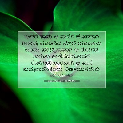 Picture 07 - ಯಾಜಕಕಾಂಡ 14:48 KANIRV - “ಆದರೆ ತಾನು ಆ ಮನೆಗೆ - Bible Verse Picture